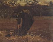 Vincent Van Gogh Peasant Woman Digging Up Potatoes (nn04) oil painting